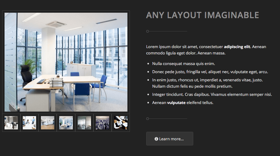 Enfold demo landing page galleries.
